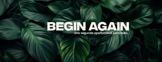 Dale una Segunda Vida a tus Objetos: Descubre el Impacto de Begin Again