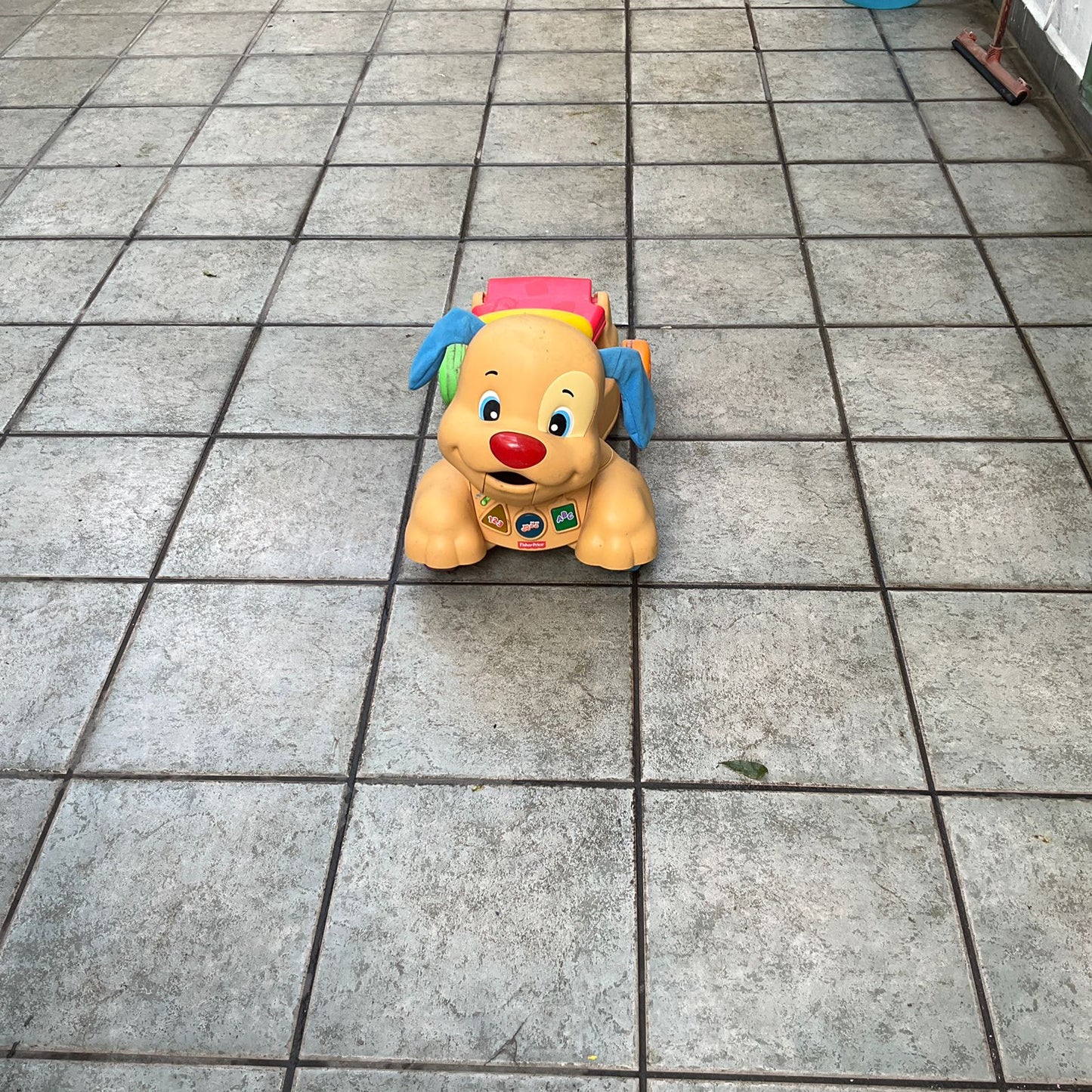 Carrito Andador Fisher-Price Perrito para Primeros Pasos – Segunda Mano