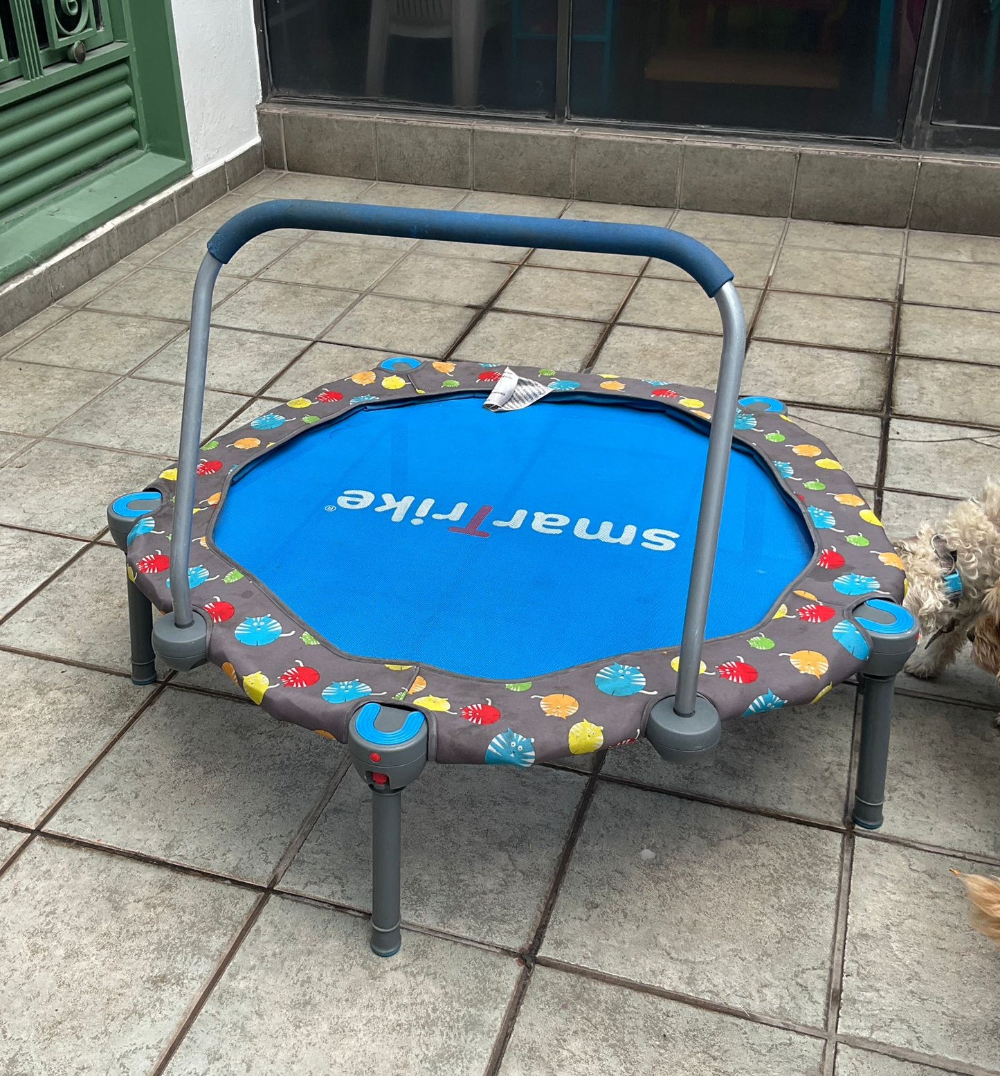 Trampolín Infantil Smart Trike con Barra de Equilibrio – Segunda Mano