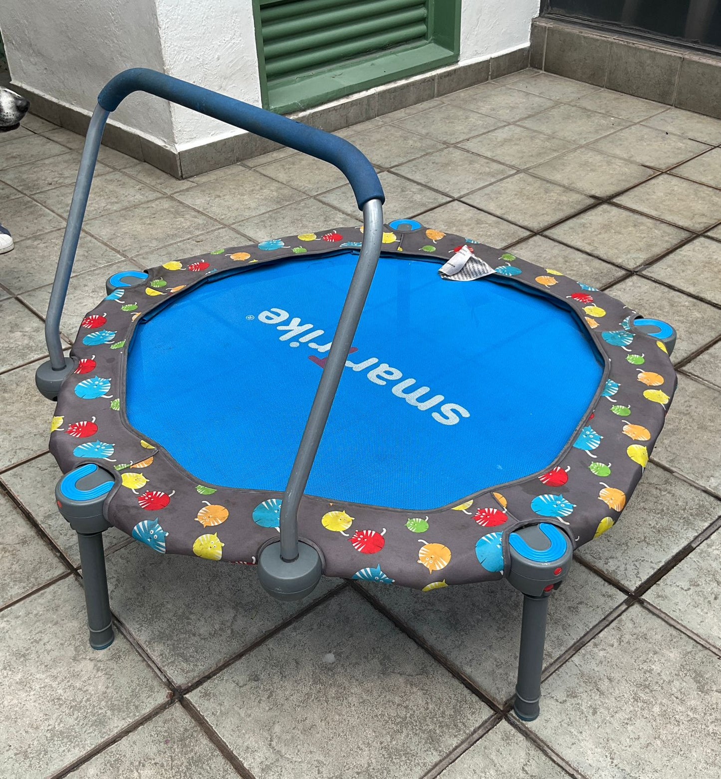 Trampolín Infantil Smart Trike con Barra de Equilibrio – Segunda Mano